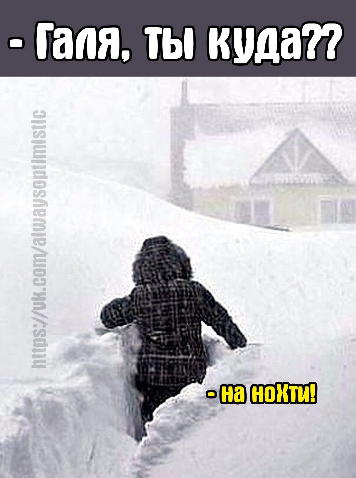 гадя ТЫ куда