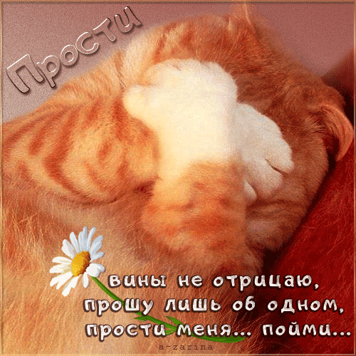 иццы не отрицаю Шу лишь 06 одном тц Меня пойми