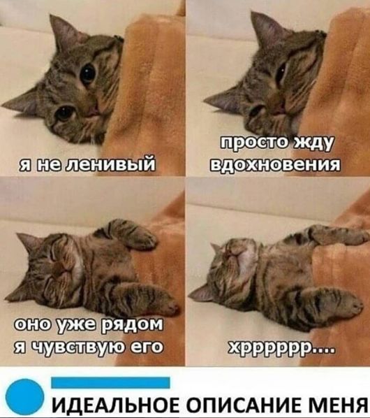 531889 рядом Ш хрррррр _ ИДЕАЛЬНОЕ ОПИСАНИЕ МЕНЯ