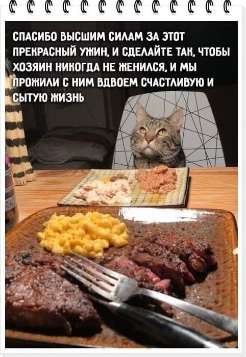 СПАСИБП ВЫСШИМ СИММ ЗА ЗТПТ ПРЕКРАСНЫЙ УШИН И БдЕМЙТЕ ТАМ ЧТПБЫ ХПЗЯИН НИИПГМ НЕ ШЕНИАСЯ И МЫ ИРОЖИАИ НИМ БЛВОЕМ ПЧАСТАИВУЮ И ЕМТУЮ ЖИЗНЬ