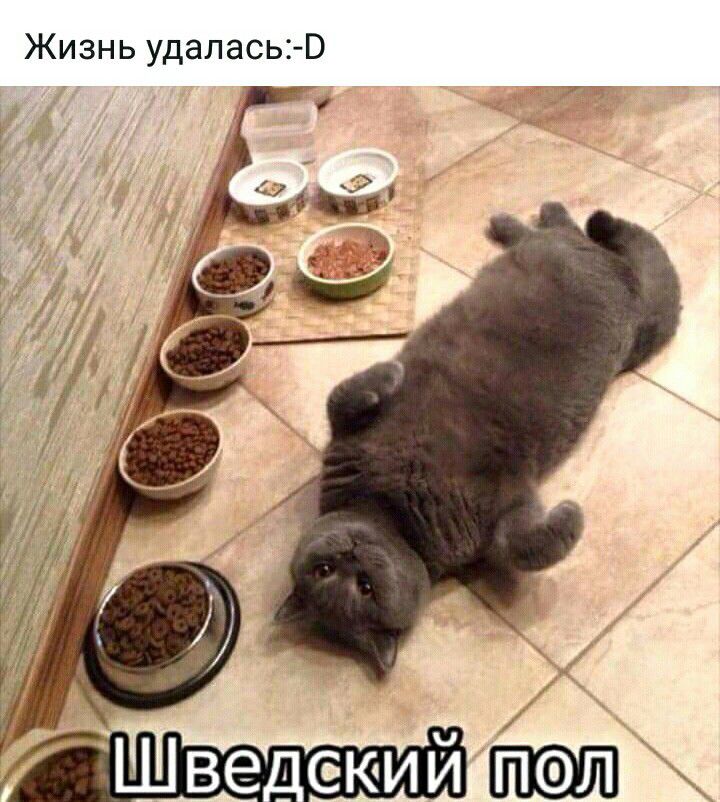 Жизнь удалась Э