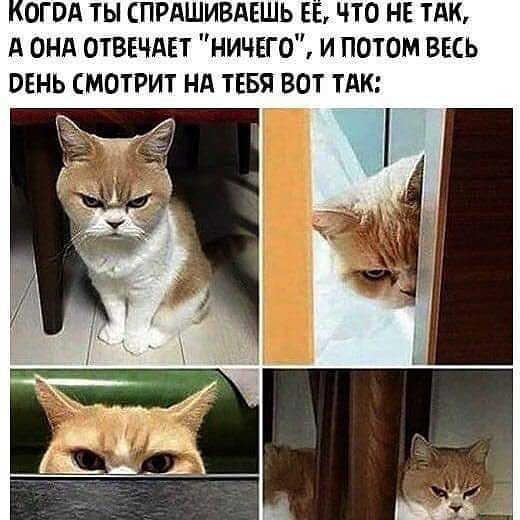 огвд ты СПРАШИВАЕШЬ Е что не тАк А онд отввчдвт ничего и потом весь огнь смотрит нд ТЕБЯ вот ТАК