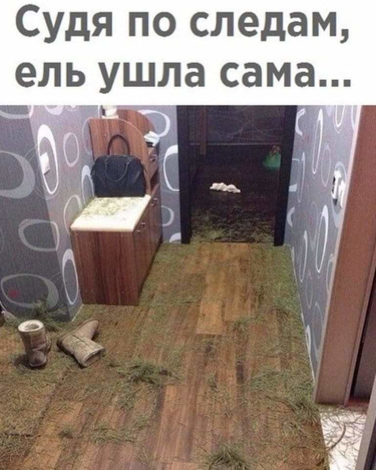 Судя по следам ель ушла сама дгзт