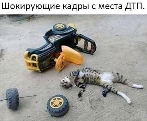 Шокирующие кадры с места ДТП