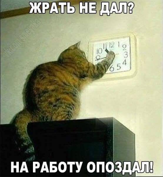 НА РАБОТУ опбздАт