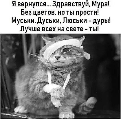 Я вернулся Здравствуи Мура Без цветов но ты прости Муськи дуськи Люськи дУР ы Лучше всех на свете ты