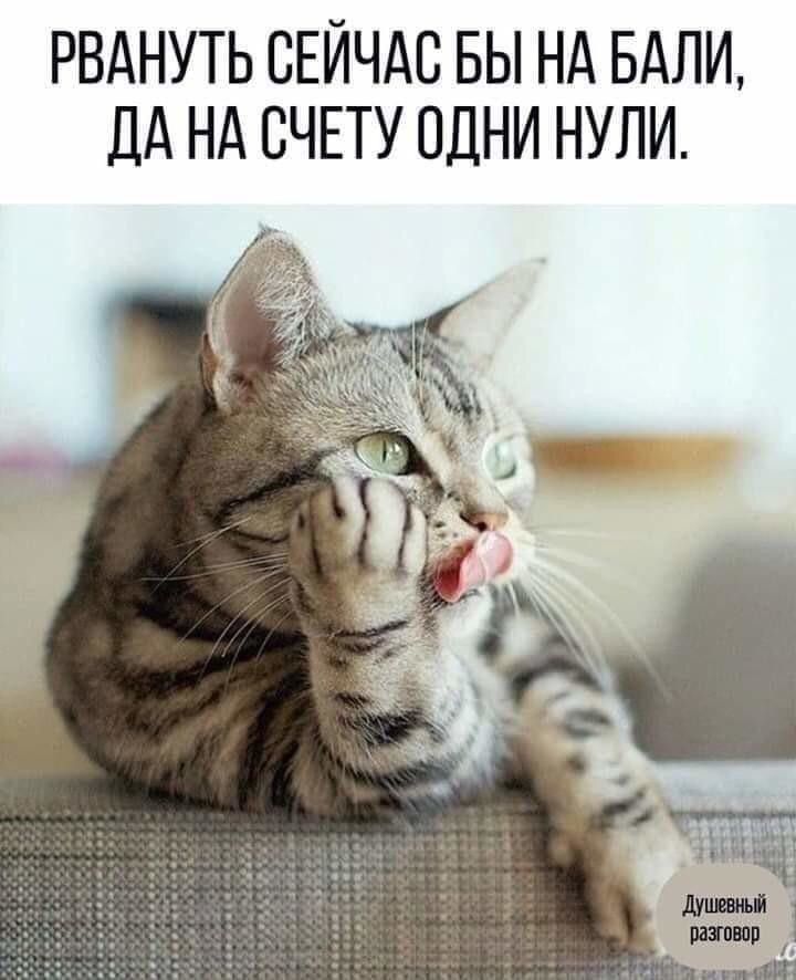 РВАНУТЬ СЕЙЧАС БЫ НА БАЛИ дд Нд СЧЕТУ ОДНИ НУЛИ