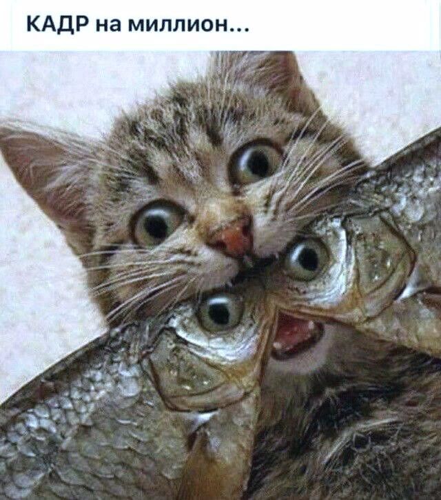 КАДР на миллион