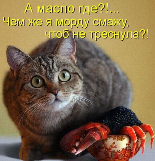 А миастта ета же 94 рду жу третыуда
