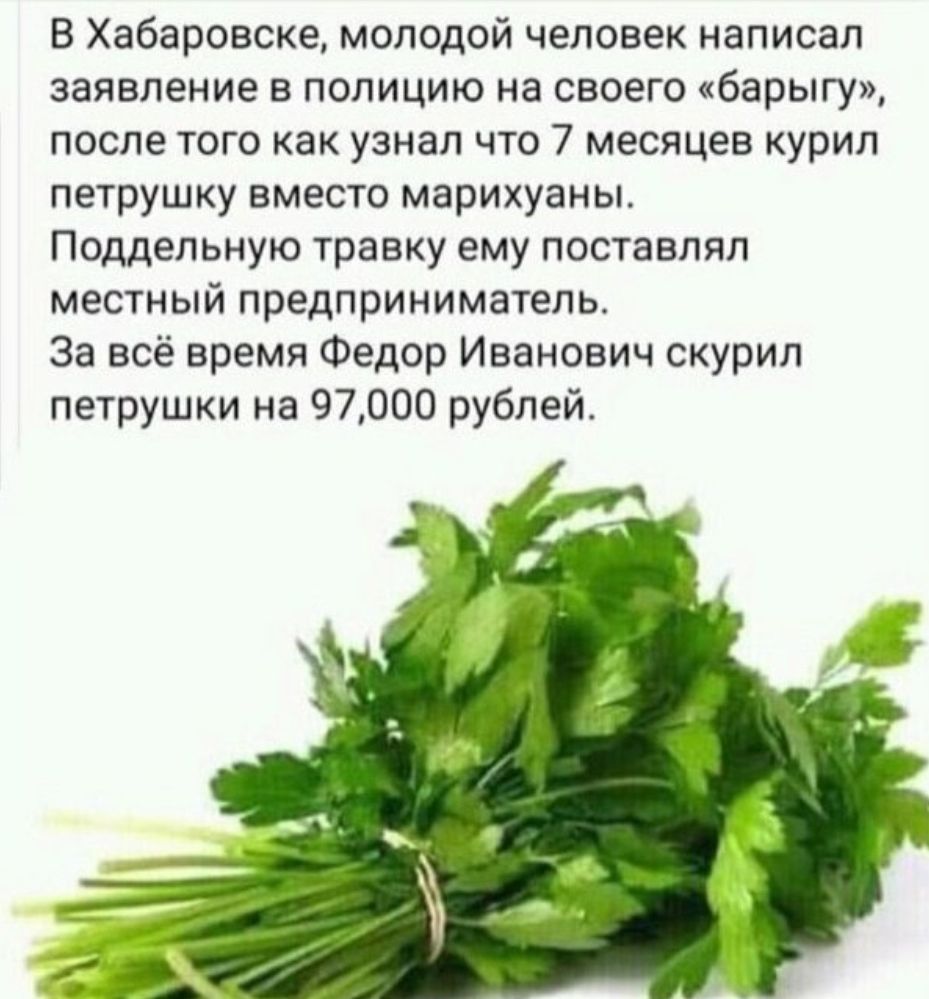 В Хабаровске молодой человек написал заявление в полицию на своего барыгу после того как узнал что 7 месяцев курил петрушку вместо марихуаны Поддельную травку ему поставлял местный предприниматель За всё время Федор Иванович скурил петрушки на 97000 рублей