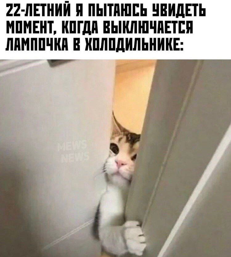 22 ЛЕТНИЙ П ПЬППШЕЬ ЧВИДЕТЬ ИПМЕНТ ШГдП ВЫКЛШЧПЕТБП ЛПМППЧКП В ШЛПДИЛЬНИКЕ