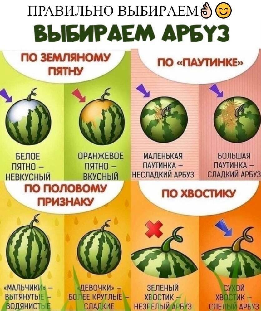 ПРАВИЛЬНО ВЫБИРАЕМё ВЫБИРАЕМ АРБУЗ по зылляному по ПАУТИНКЕ пятну БЕЛОЕ ОРАНЖЕВОЕ МАЛЕНЬКАЯ БОЛЬШАЯ ПЯТНО ПЯТНО ПАУТИНКА ПАУТИНКА НЕВКУСНЫЙ ВКУСНЫЙ НЕСЛАДКИИ АРБУЗ СЛАДКИИ АРБУЗ ц ПО ПОЛОЗОМ ПО ХВОСТИКУ ПРИЗНАКУ МАЛЬЧИКИ БВОЧКИ ЗЕЛЕНЫЙ ЯНУТЬТЁ Е КРУГЛЫЕ ХВОСТИК НЕ одяниствъ __спщкиЕ зрелыидрвуз тв