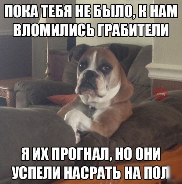 ПВНАДЕБЯ НЕЁЁШЩШ ПМ ВПВМИПИВГРАБИТШИ Я ИХ ПРОПШЛ 0 они УВПЕПИ МБРАТЬ нд ПШ