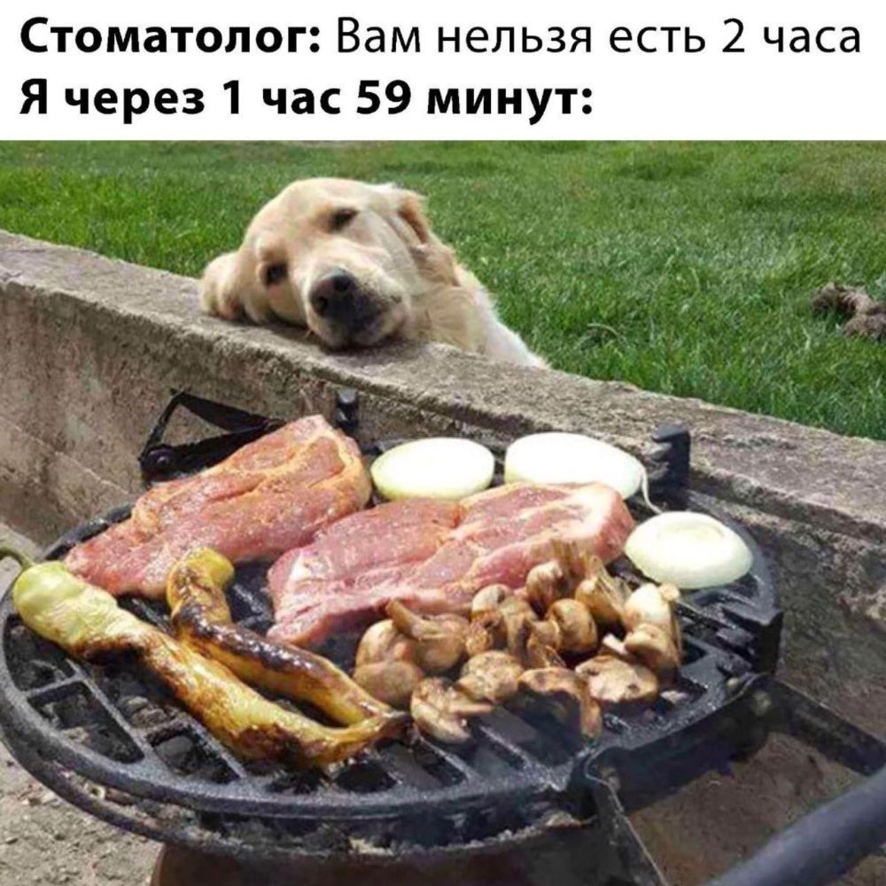 Стоматолог Вам нельзя есть 2 часа Я через 1 час 59 минут