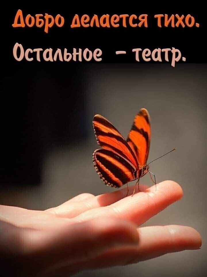 ШБ зтса Остадьное театр