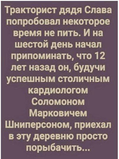 Тракторист дядя Слава попробовал некоторое время не пить и на шестой день начал припоминать что 12 лет назад он будучи успешным столичным кардиологом Соломоном Марковичем Шниперсоном приехал в эту деревню просто порыбачить