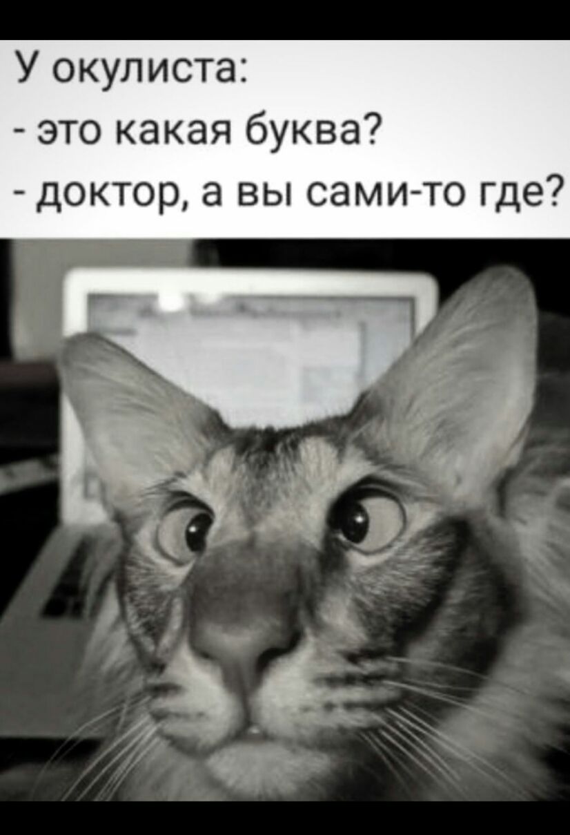 У окулиста это какая буква доктор а вы сами то где