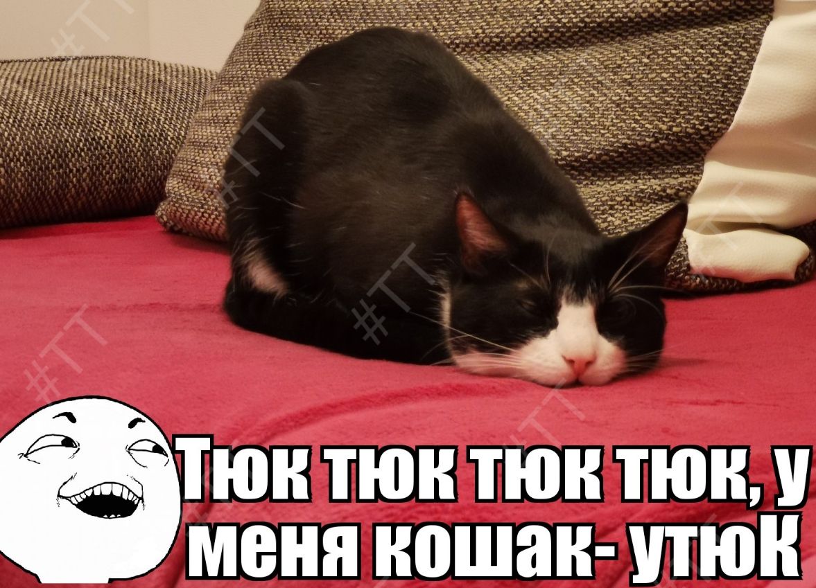 МЕНЯ ношан Пюн