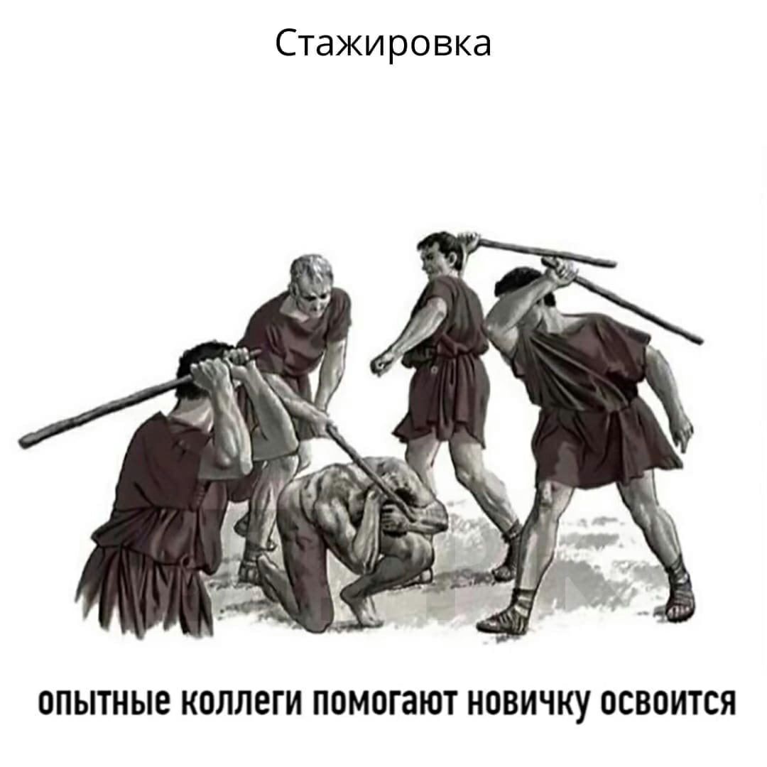 Стажировка ОПЫТНЫЕ КОЛЛЕГИ ПОМОГЗЮТ НОВИЧКУ ОСВОИТСЯ