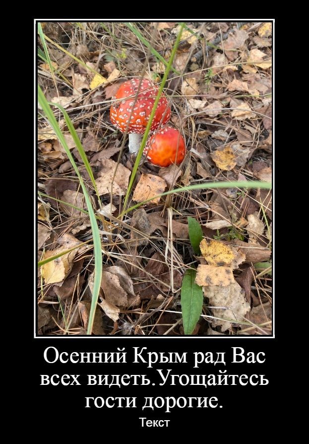 _гі д ОсенншЭі Крым рад Вас всех видетьУгощайтесь гости дорогие Текст