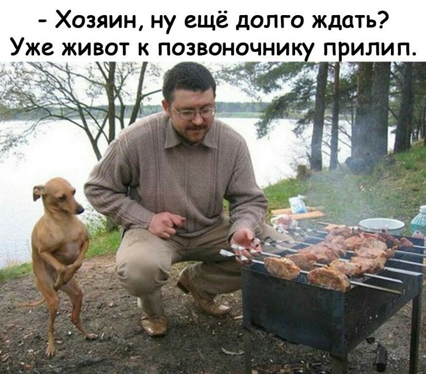 Хозяин ну ещё долго ждать Уже живот к позвоночни _ хр _