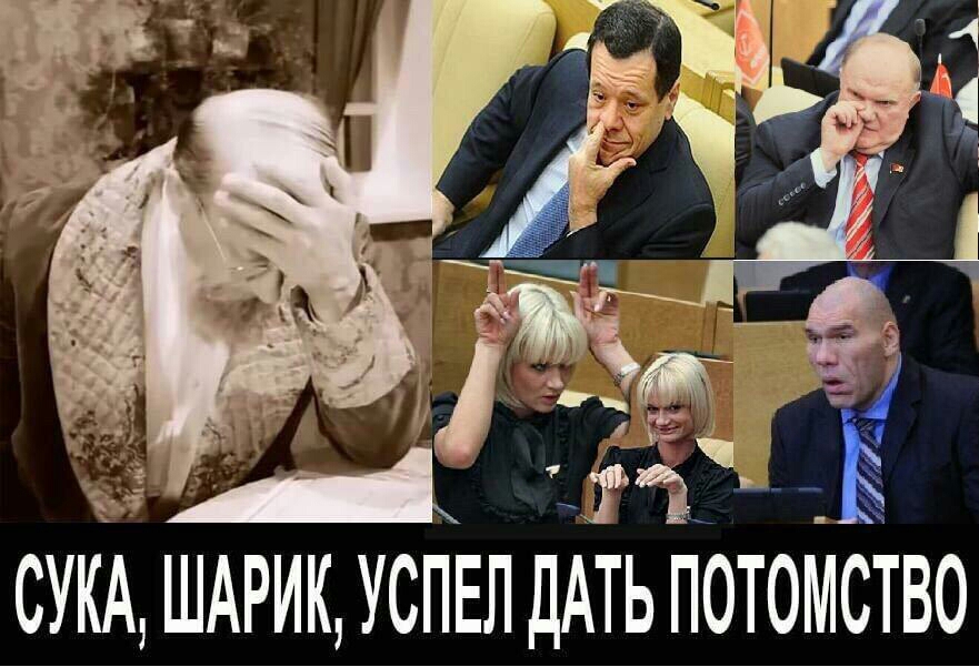 СУКА ШАРИК УСПЕЛ ДАТЬ ПОТОККСТВО