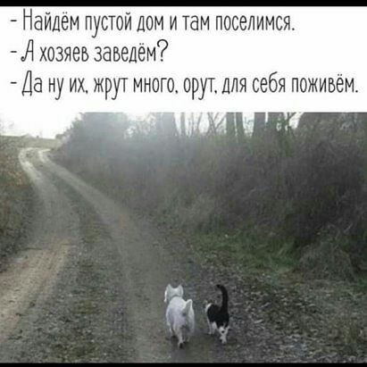 Найдем пустой дом и там поселимся нд хозяев заведем Да ну их жрут многа орут для себя поживем