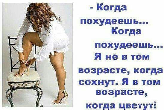 Когда похудеешь Когда похудеешь Я не в том возрасте когда сохнут Я в том возрасте когда цветут