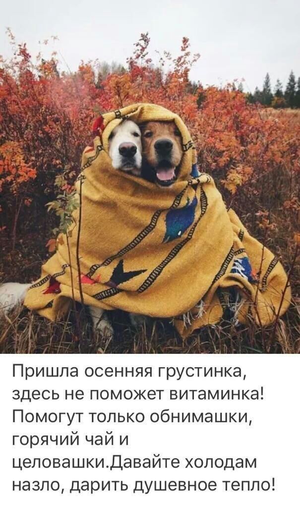 Пришла осенняя грустинка здесь не поможет витаминка Помогут только обнимашки горячий чай и целовашкидавайте холодам назло дарить душевное тепло