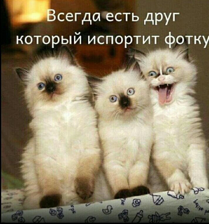 Всегда есть друг который испортит фотку