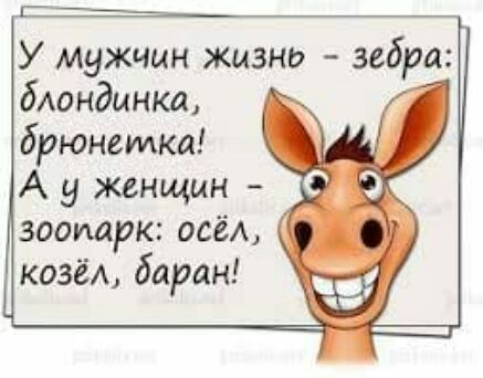 У муЖЧин жизнь зебра блондинка брюнетки А у женщин зоопарк всё козёл баран