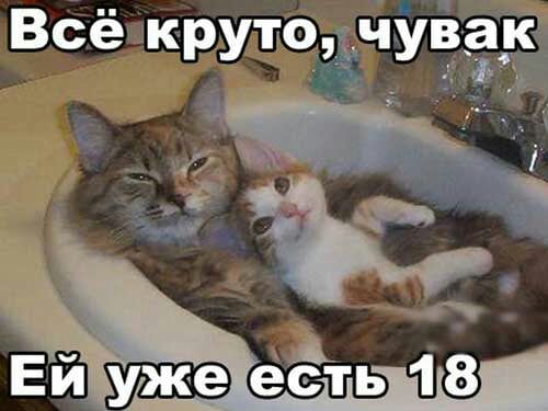 Всё крутоіЧУЁігЁ ъ