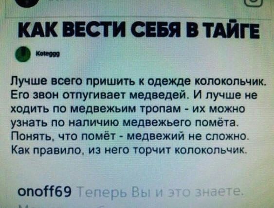 Шптсввявт гг Лучше всего пришить к одежде копокопьчик Его звон отпугивает медведей И лучше не ходить по медвежьим тропам их можно узнать по напичию медвежьего помета Понять что помёт медвежий не сложно Как правило из него торчит колокольчик опоКбЭ