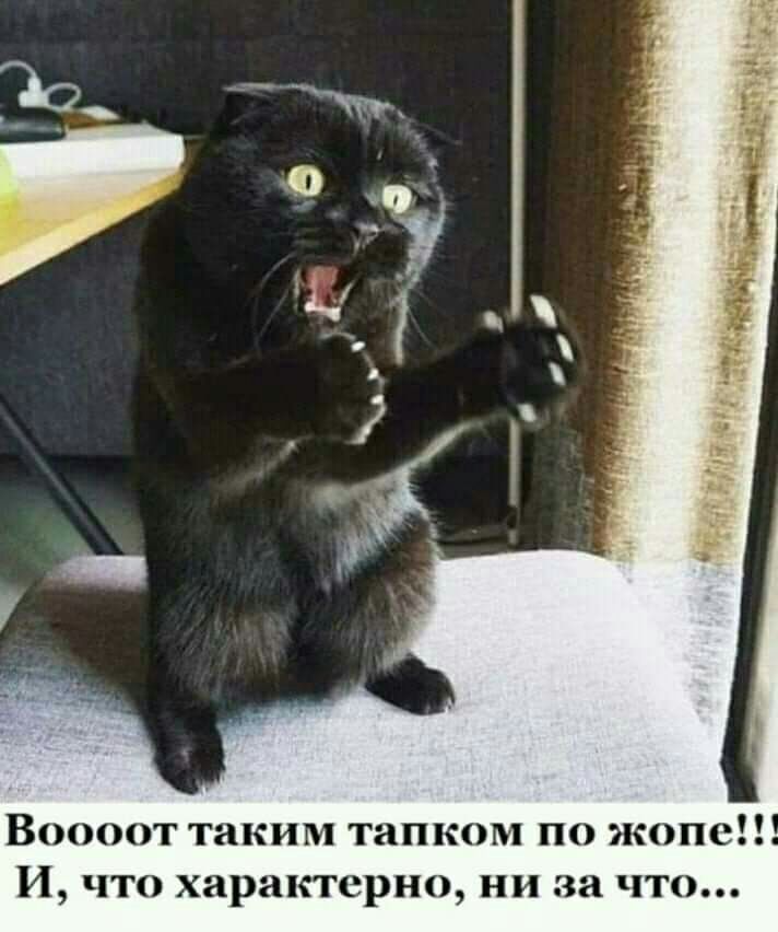 Воооот таким тапком по жопе И что характерно ни за что
