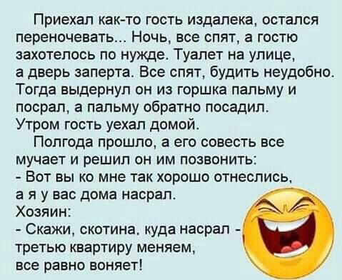 Приехал как то гость издалека остался переночевать Ночь все спят а гостю захотелось по нужде Туалет на улице а дверь заперта Все спят будить неудобно Тогда выдернул он из горшка пальму и посрап а пальму обратно посадил Утром гость уехал домой Полгода прошло а его совесть все мучает и решил он им позвонить Вот вы ко мне так хорошо отнеслись а я у вас дома насрал Хозяин Скажи скотина куда насрал тре