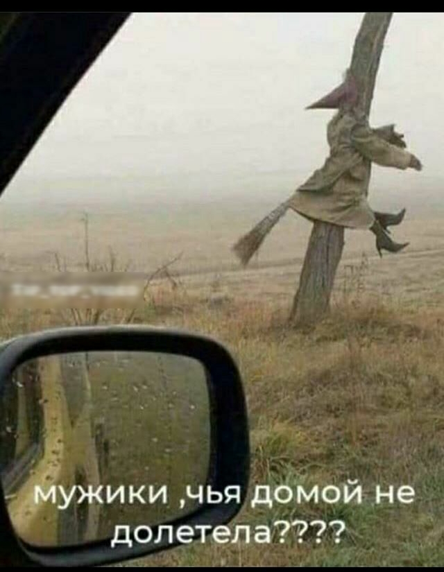 мужики чья домой не долетела