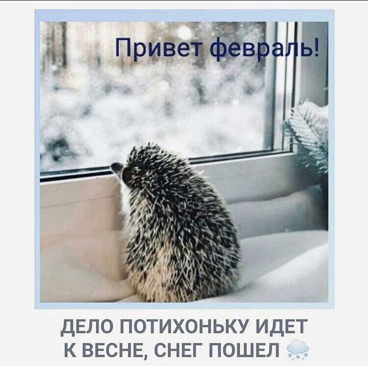 ДЕЛО ПОТИХОНЬКУ ИДЕТ К ВЕСНЕ СНЕГ ПОШЕЛ