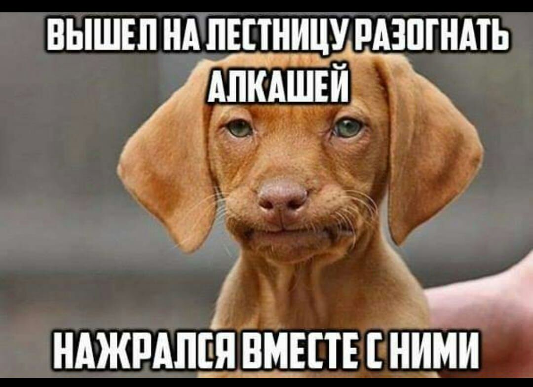 ВЫШЕП НА ПЕПНИЦУРАЗПГНМЬ нджмпдящпынййми