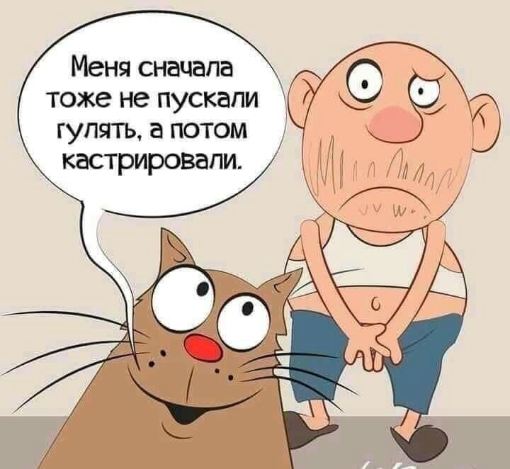 Меня сначала тоже не пускали гулять а потом