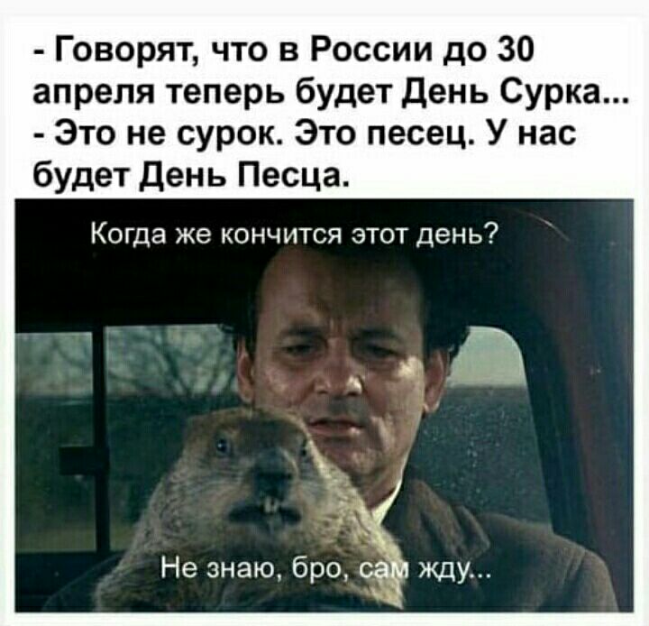 Говорят что в России до 30 апреля теперь будет день Сурка Это не сурок Это песец У нас будет день Песца Когда же кончится этот день