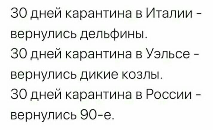 30 дней карантина в Италии вернулись дельфины 30 дней карантина в Уэльсе вернулись дикие козлы 30 дней карантина в России вернулись 90е