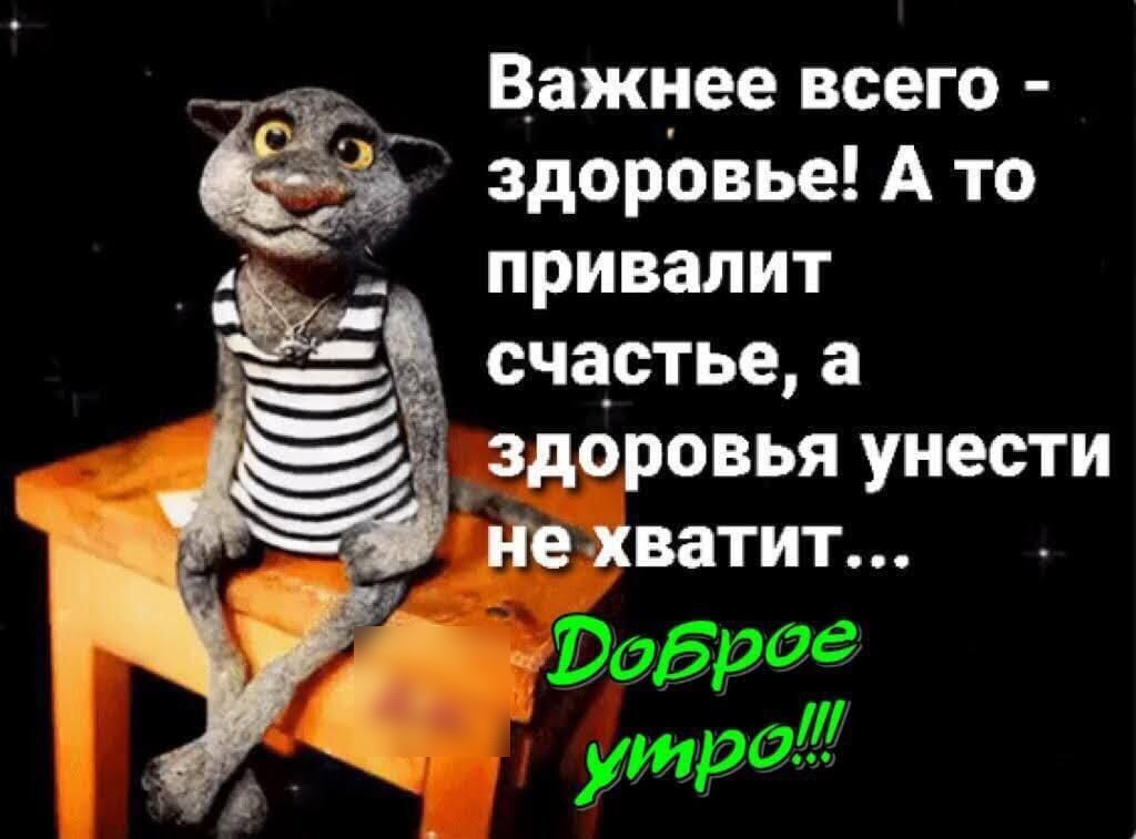 Важнее всего здоровье а то привалит счастье а здоровья унести не хватит картинки с надписями