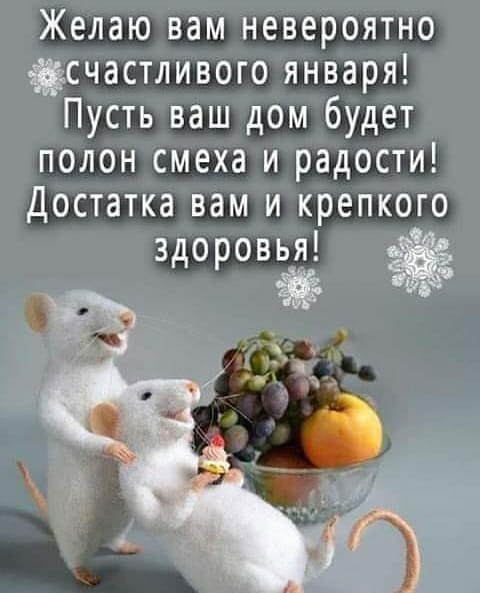 Желаю вам невероятно счастливого января Пусть ваш дом будет полон смеха и радости Достатка вам и крепкого здоровья