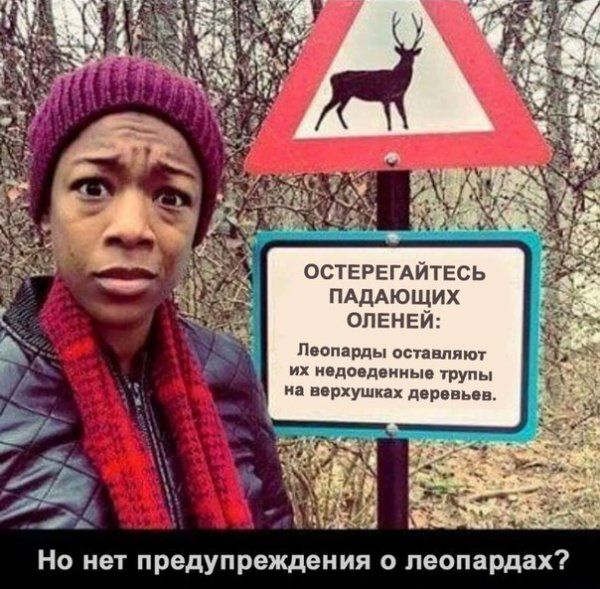 ОСТЕРЕГАЙТЕСЬ ПАдАющих оленем Леопарды отанпяют их вдовдвииыв трупы иа верхушках деревьев Но нет предупреждения о пеопардах
