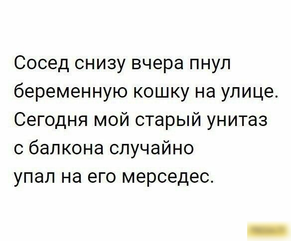 Сосед снизу вчера пнул беременную кошку на улице Сегодня мой старый унитаз с балкона случайно упал на его мерседес