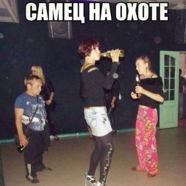 жд пищит от