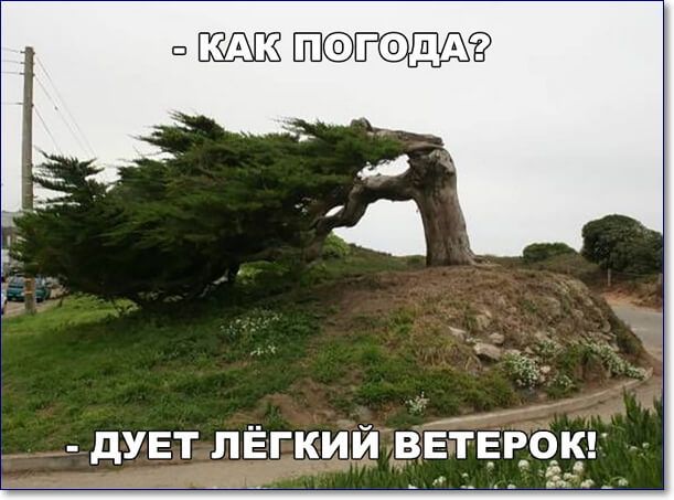 п