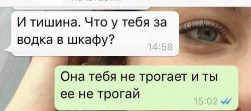 И тишина Что у тебя за водка в шкафу Она тебя не трогает и ты ее не трогай ЛО