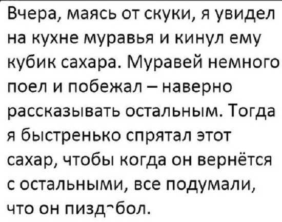 Вчера маясь от скуки я увидел на кухне муравья и кинул ему кубик сахара Муравей немного поел и побежал наверно рассказывать остальным Тогда я быстренько спрятал этот сахар чтобы когда он вернётся с остальными все подумали что он пиздабол