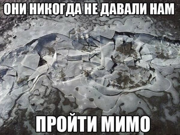 проити Мит